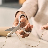 1021189-zwilling-ja-henckels-twin-select-13cm-household-shear-5_126626319635202256673660.png