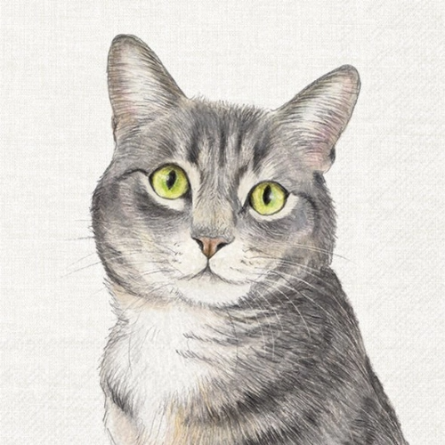 ab-farmtier-katze-servietten-33x33cm-118225-50_3151265071207.png