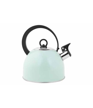cosy-trendy-fluitketel-mintgroen-17l-rvs-met-nylon_126631375705314534642833.jpg