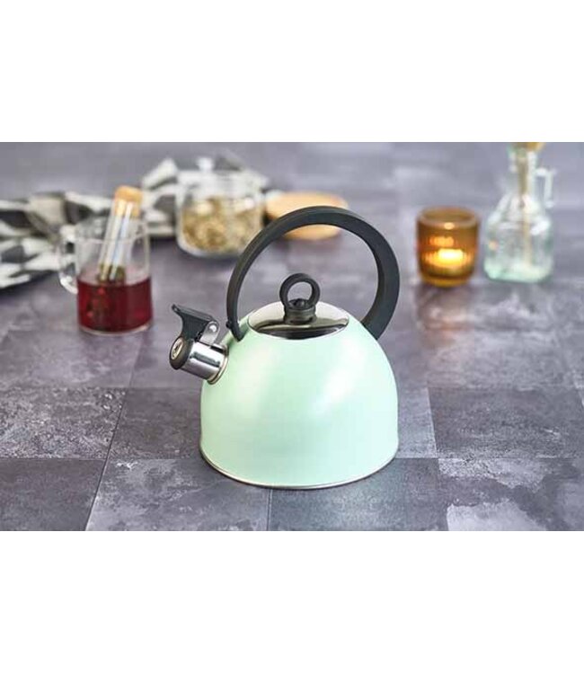 cosy-trendy-fluitketel-mintgroen-17l-rvs-met-nylon_12663137570531568629308.jpg