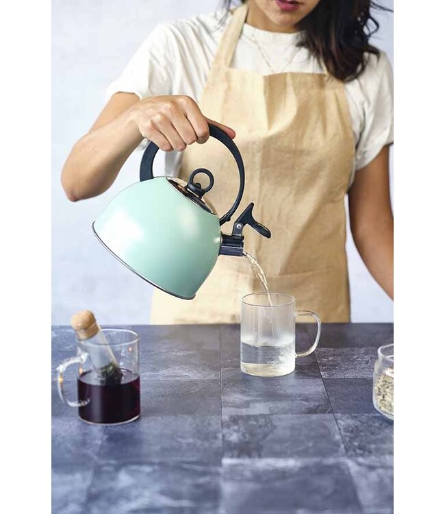 cosy-trendy-fluitketel-mintgroen-17l-rvs-met-nylon_126631375705319602746253.jpg
