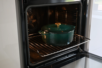 green-oven-scaled_1265689257566122710.png