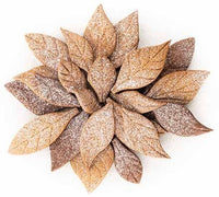silikomart-voila-cookie-leaves-cookie-shaper-240x150-h-20-mm-3_3157513228086.jpg